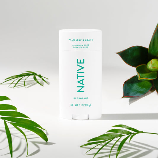 Deodorant Stick Palm Leaf and Agave 3.1oz Classic Personal Care