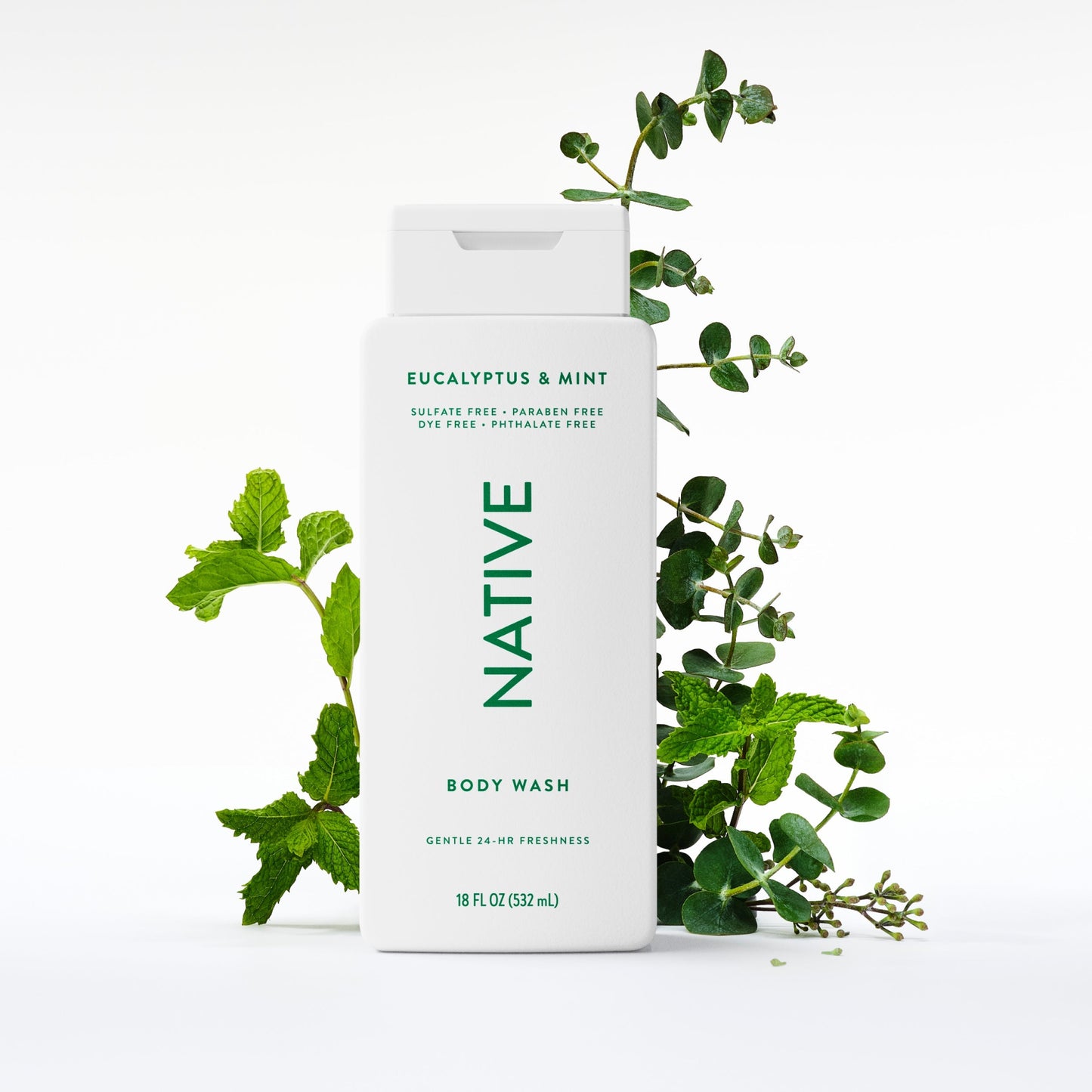 Body Wash Eucalyptus and Mint 18oz Classic Personal Care