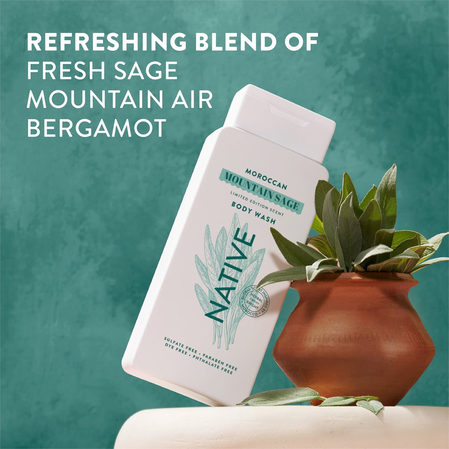 Body Wash Moroccan Mountain Sage 18oz Limited Edition Personal Care