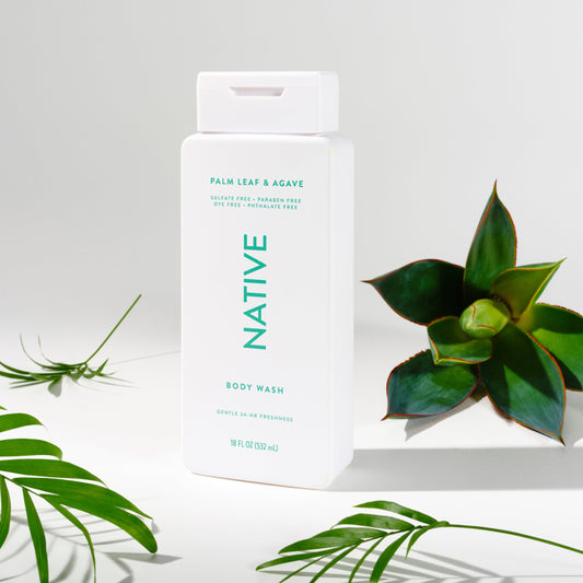 Body Wash Palm Leaf and Agave 18oz Classic Personal Care