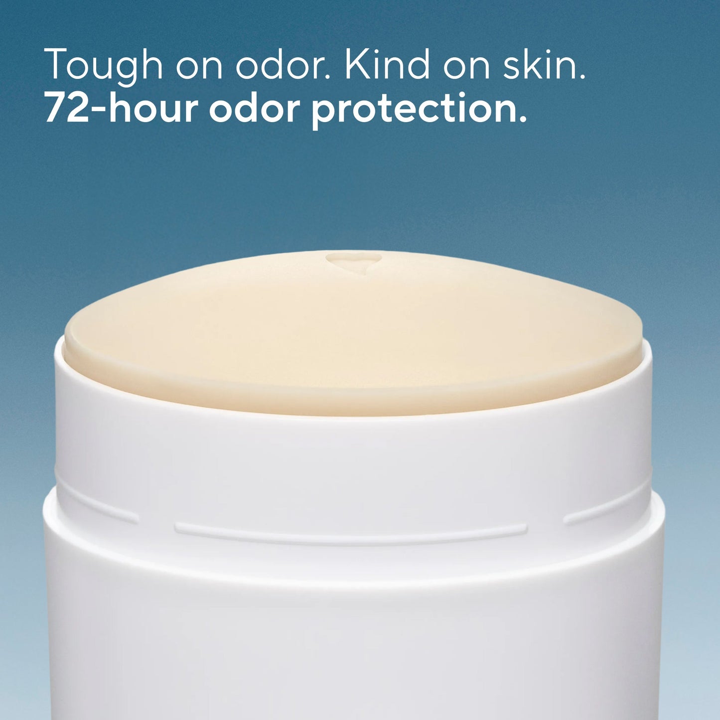 Whole Body Deodorant Stick Sea Salt and Cedar 2.4oz Classic Personal Care