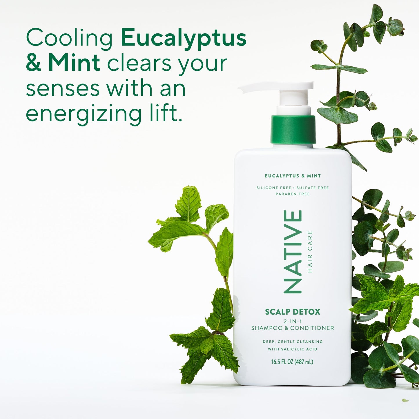 Scalp Clarifying 2 in 1 Shampoo and Conditioner Eucalyptus and Mint 16.5oz Classic Personal Care